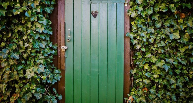 door, toilet door, peace and quiet, old door, wood, disintegration, haunting, old, ivy, toilet, door, door, door, door, door, toilet