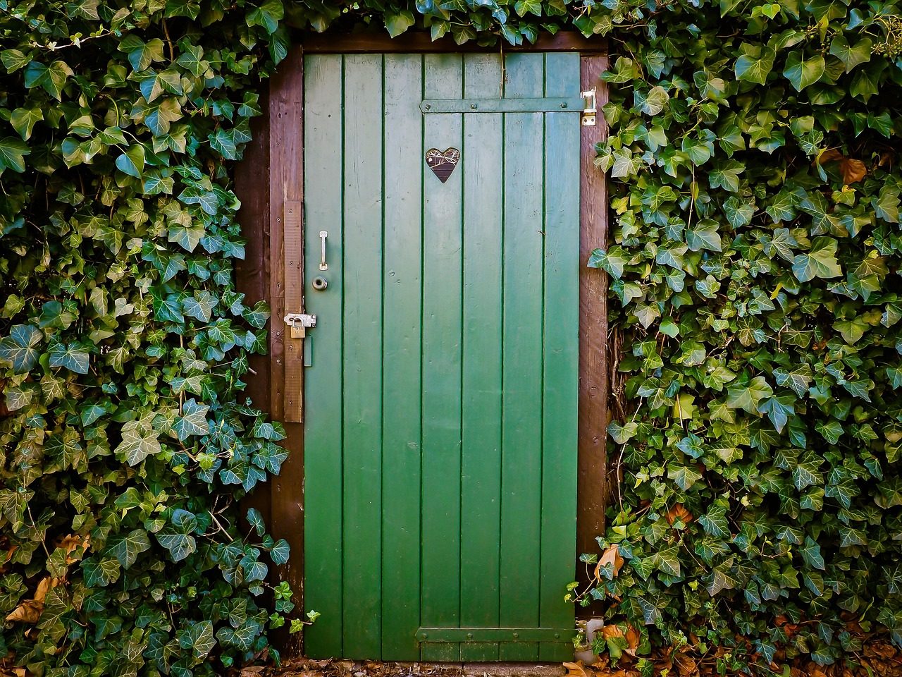 door, toilet door, peace and quiet, old door, wood, disintegration, haunting, old, ivy, toilet, door, door, door, door, door, toilet